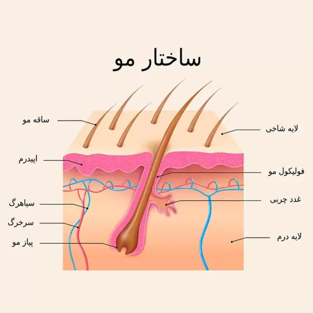 آموزش کراتین مو